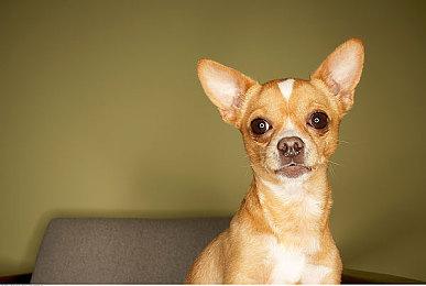 Raven Software员工投票决定成立动视暴雪工会